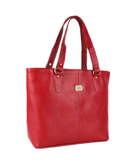 ladies bag