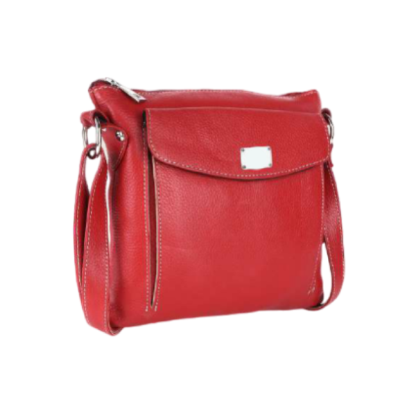 ladies bag